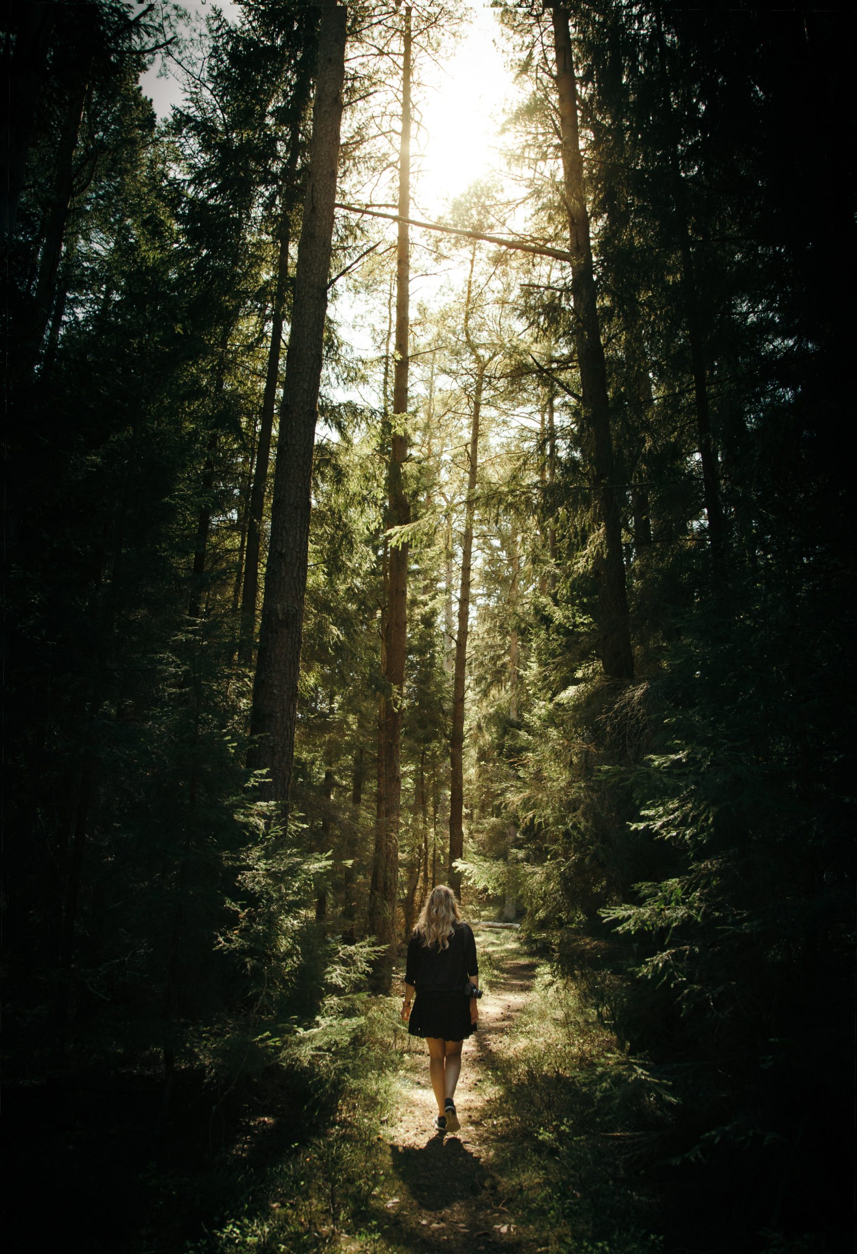geran-de-klerk-Kcxv7Gz7wmw-unsplash